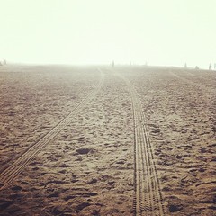 Foggy beach