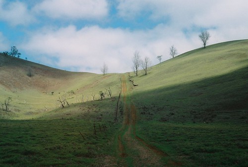 Cinder Cone State Park