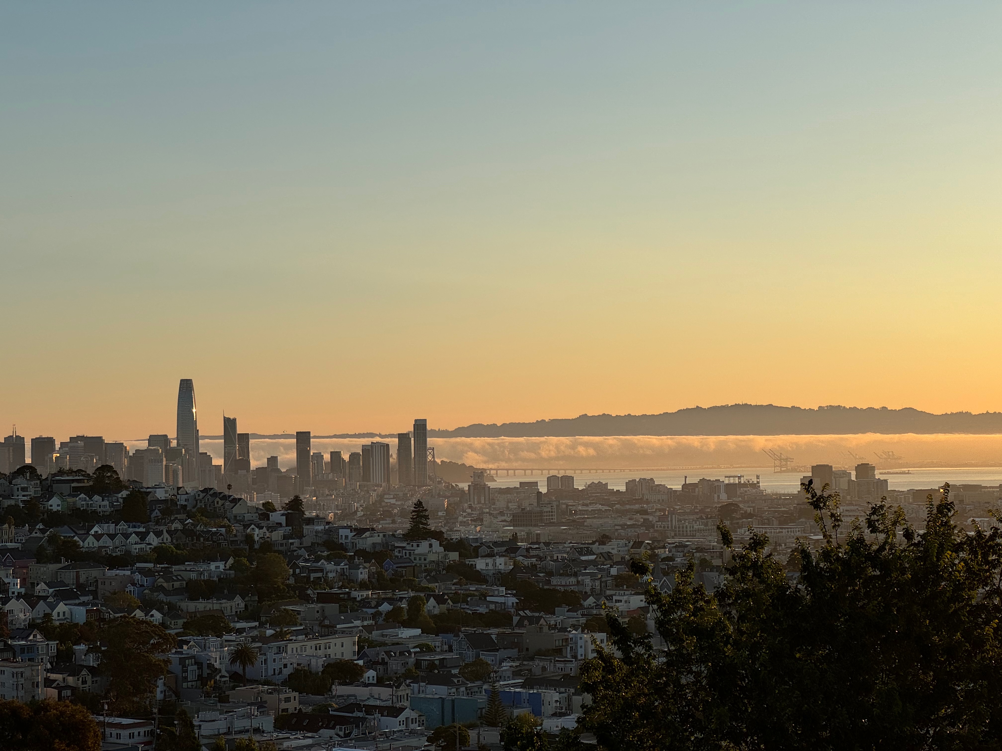 Fogwall over the bay, Aug 28